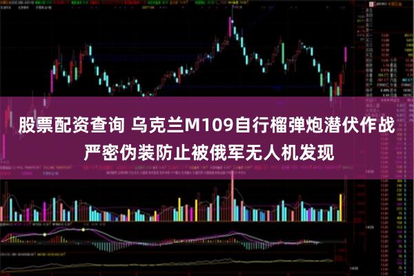 股票配资查询 乌克兰M109自行榴弹炮潜伏作战 严密伪装防止被俄军无人机发现